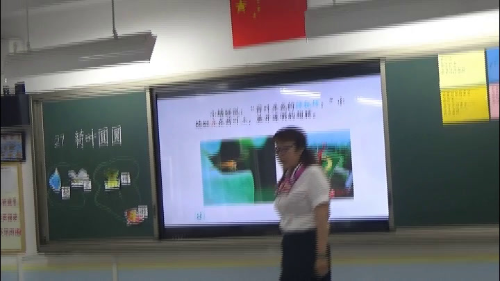 1.人教版语文（部编）一下《13荷叶圆圆》北京市省级优课