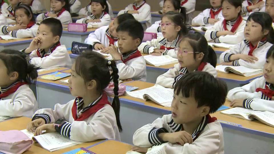 4.人教版语文（部编）二下《11我是一只小虫子》国家级优质课