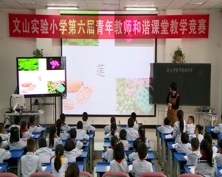 2.人教版语文（部编）二下《晓出净慈寺送林子方》国家级优质课
