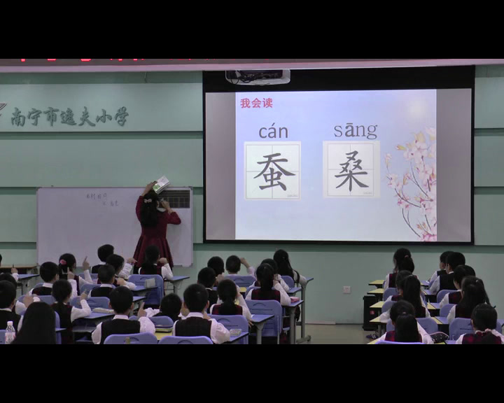 1.人教版语文四下《乡村四月》广西省级优课