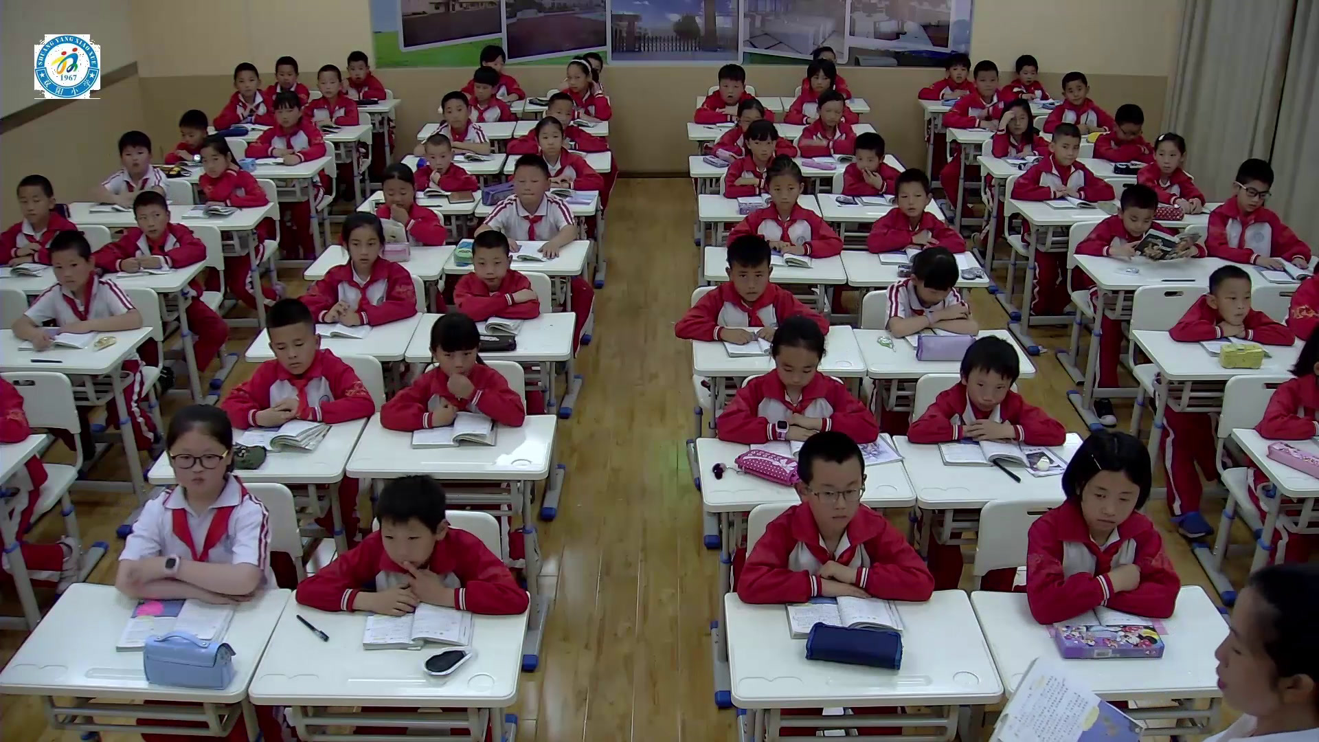 1.人教版语文四下《11　蝙蝠和雷达》贵州省省级优课