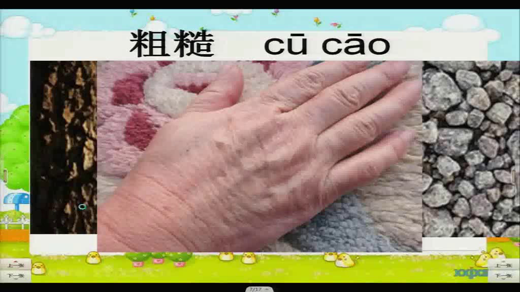 3.教科版科学一下《1.发现物体的特征》广东省市级一等奖