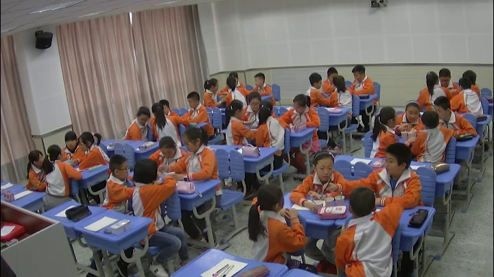 3.人教版数学六下《5数学广角——鸽巢问题》河北省一等奖