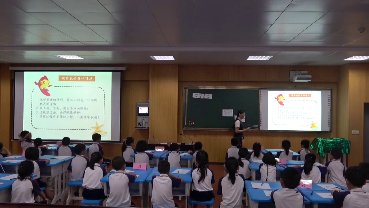1.教科版科学一下《5.观察鱼》全国一等奖