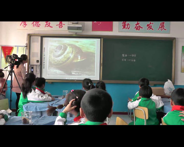 1.教科版科学一下《3.观察一种动物》吉林省一等奖