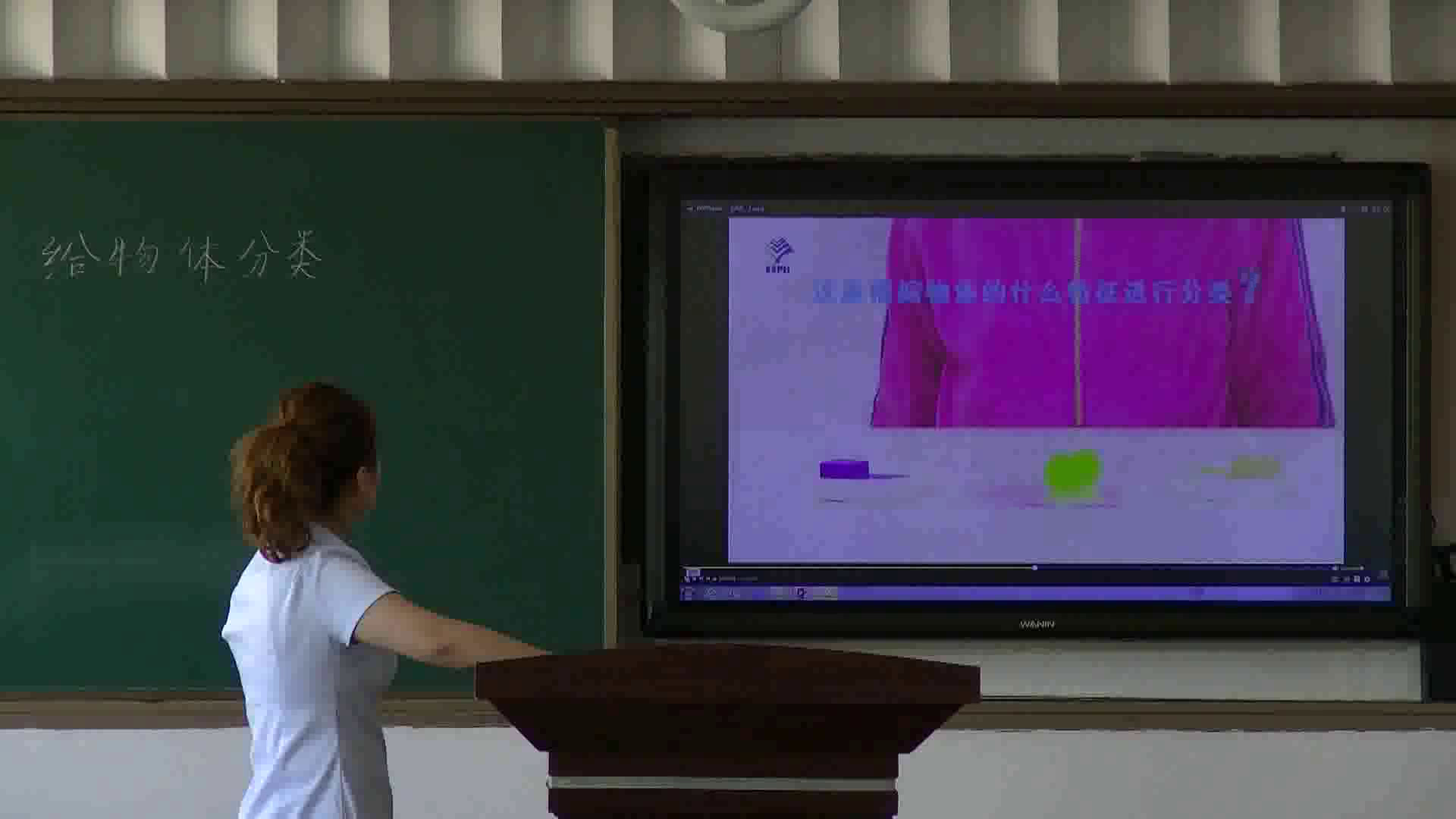 1.教科版科学一下《4.给物体分类》吉林省一等奖