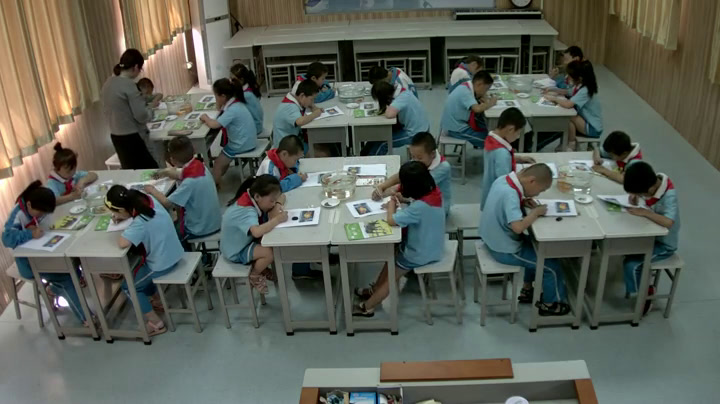 1.教科版科学一下《5.观察鱼》河北省一等奖