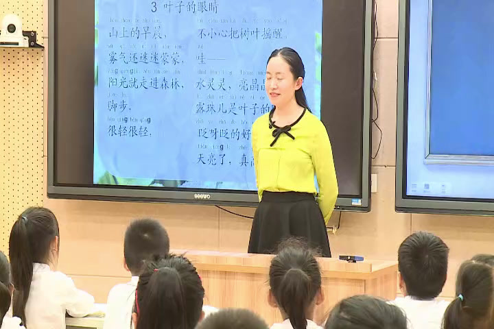 5.苏教2011版小学语文一下《3叶子的眼睛》全国一等奖