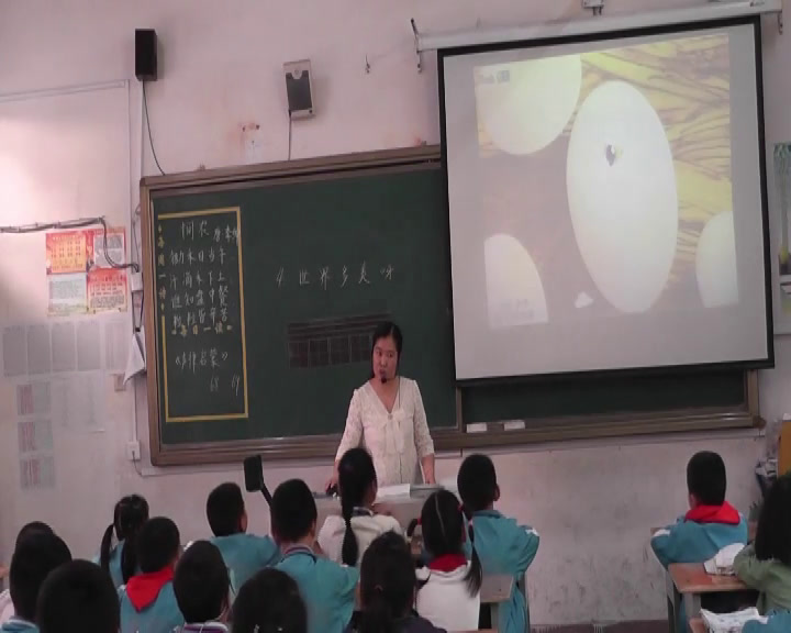 3.苏教2011版小学语文一下《4世界多美呀》江苏省市一等奖