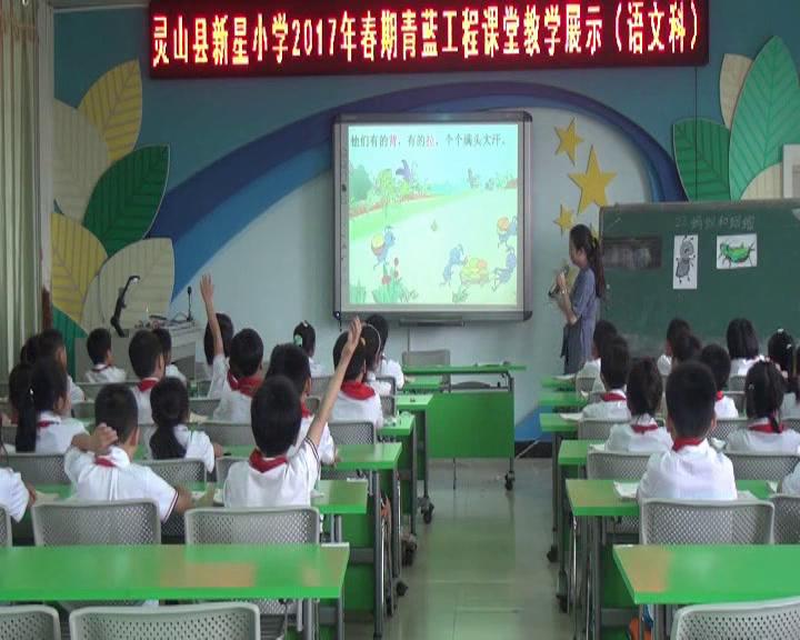 4.苏教2011版小学语文一下《22蚂蚁和蝈蝈》全国一等奖