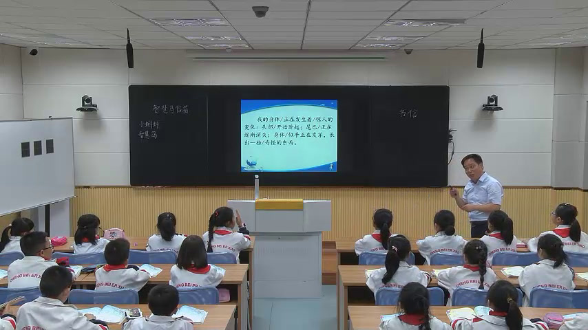 2.苏教2011版小学语文二下《17智慧鸟信箱》全国一等奖