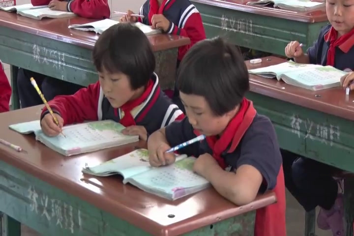 1.苏教2011版小学语文二下《22真想变成大大的荷叶》云南省省一等奖