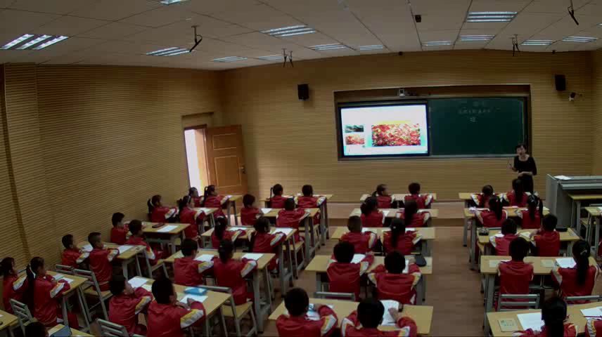 1.苏教2011版小学语文二下《21欢乐的泼水节》云南省省一等奖