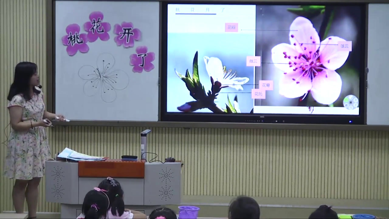人美2011版美术一下《22.龙泉山上桃花�…》四川省省一等奖