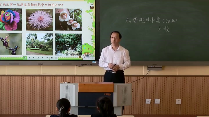 1.人美2011版美术二下《热带飓风和虎》吉林省市一等奖