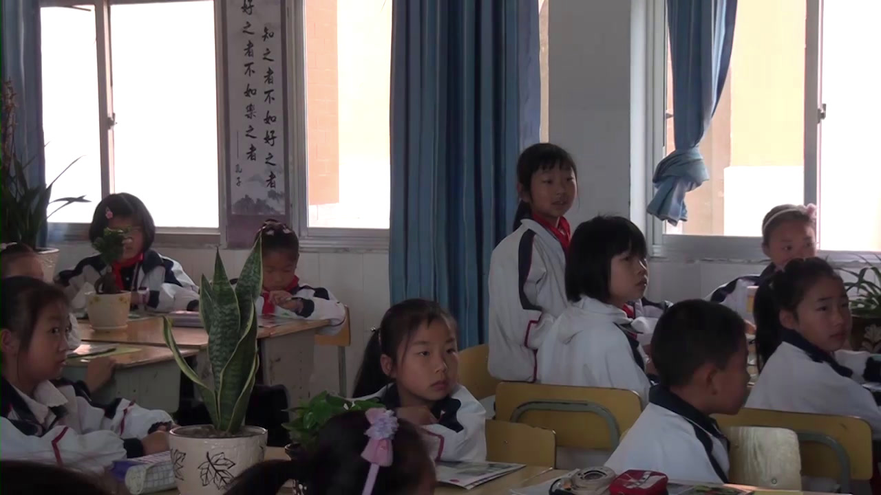 3.人美2011版美术四下《1、植物写生》湖北省省一等奖