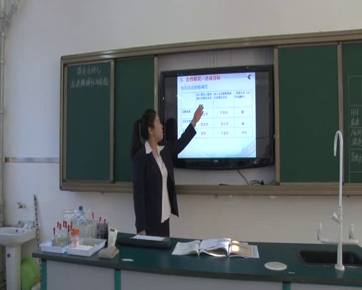2.人教版化学九下《实验活动7　溶液酸碱性的检验》国家级优质课