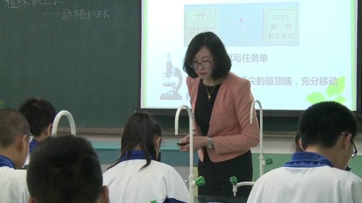 1.初中生物人教2011版七上《第二节　植株的生长》全国一等奖