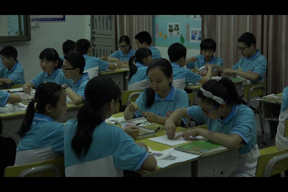 12.初中生物人教2011版七上《第三节　开花和结果》全国一等奖