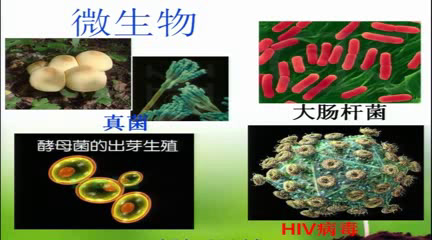 初中生物人教版七上《致同学们》黑龙江省县一等奖