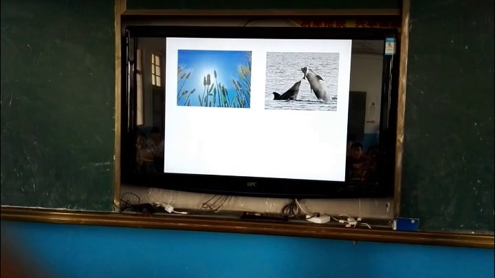 1.初中生物人教2011版七上《第一节　生物的特征》安徽省市一等奖
