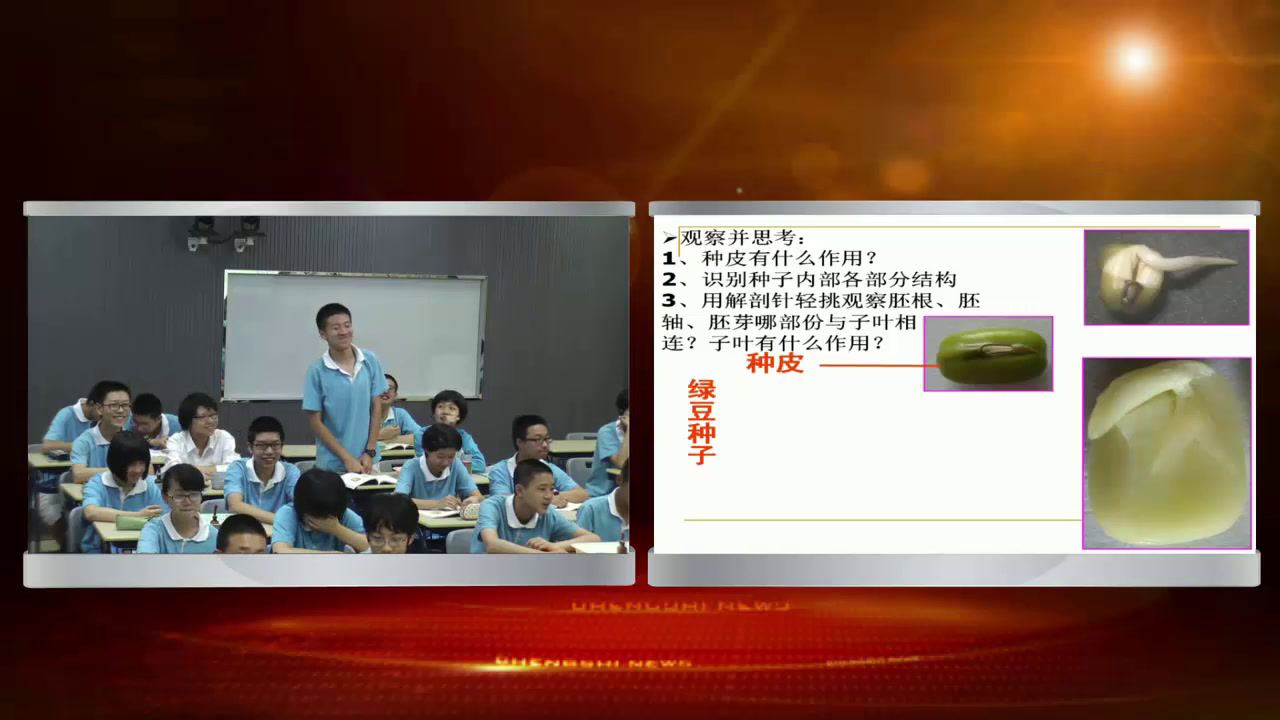 4.初中生物人教2011版七上《第二节　种子植物》全国一等奖