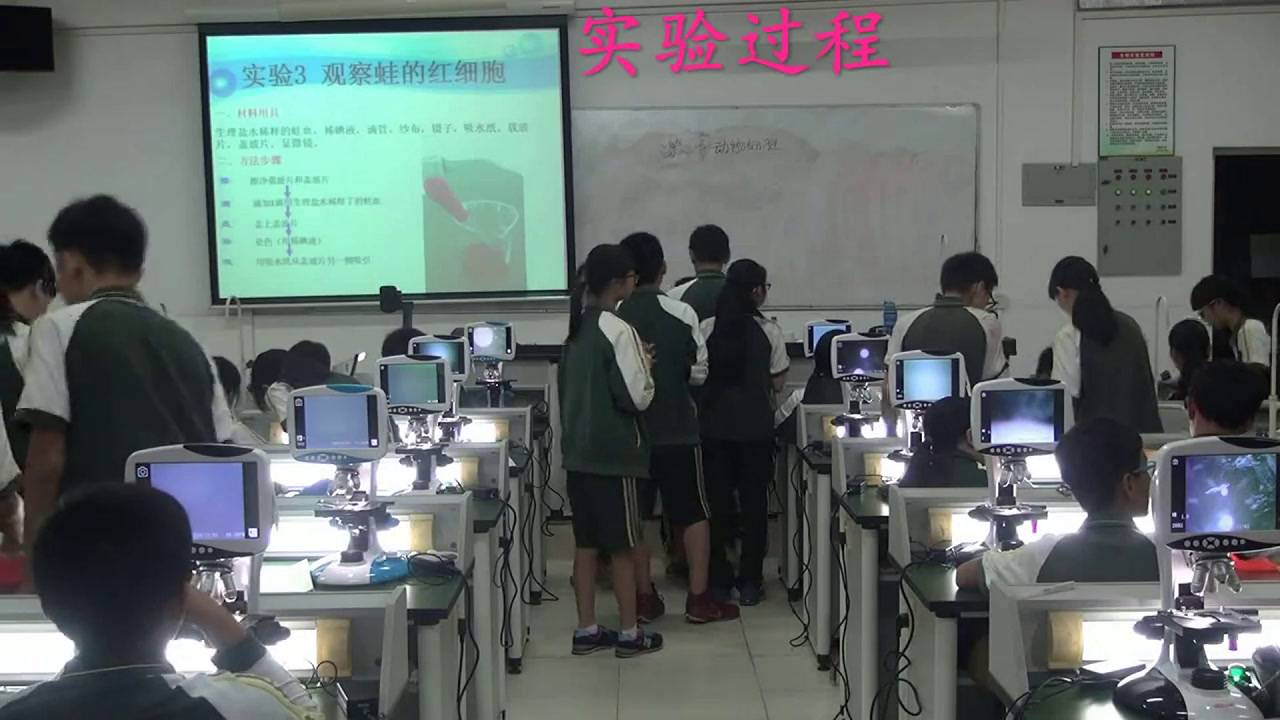 3.初中生物人教2011版七上《第三节　动物细胞》全国一等奖