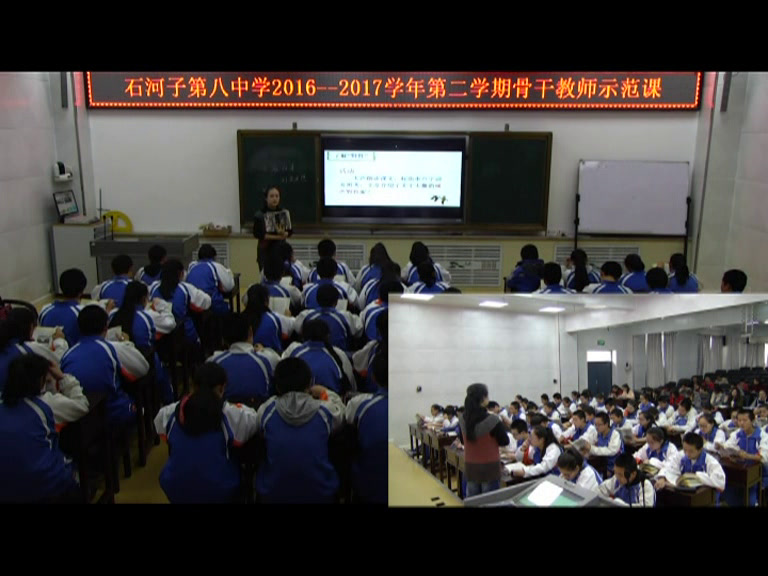 1.人教版语文（部编）八下《7大雁归来》国家级优质课