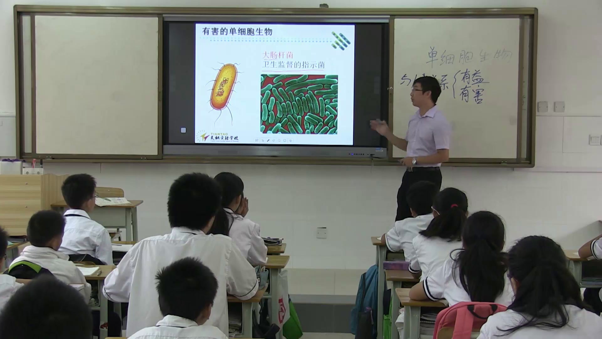 3.初中生物人教2011版七上《第四节　单细胞生物》广西省一等奖