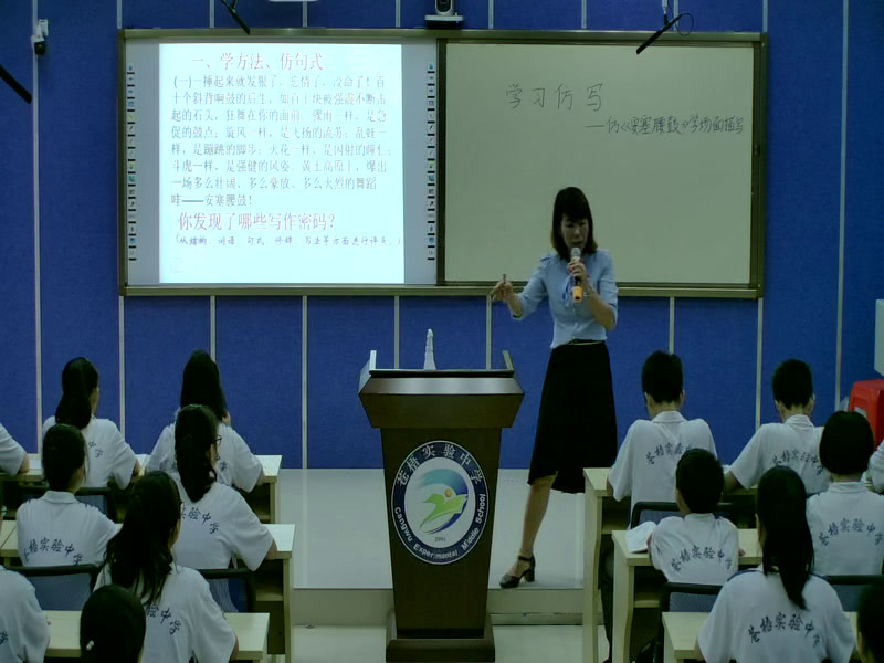 2.人教版语文（部编）八下《学写仿写》国家级优质课