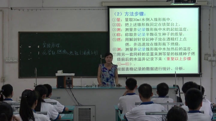 4.初中生物人教2011版七下《第一节　食物中的…》全国一等奖