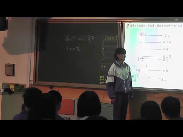 3.初中生物人教2011版七下《第四节　激素调节》全国一等奖