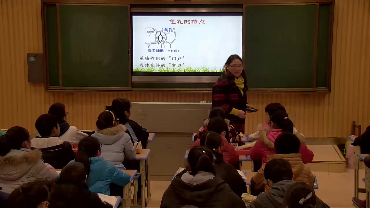 初中生物人教2011版七上《绿色植物与生物�…》湖南省省一等奖