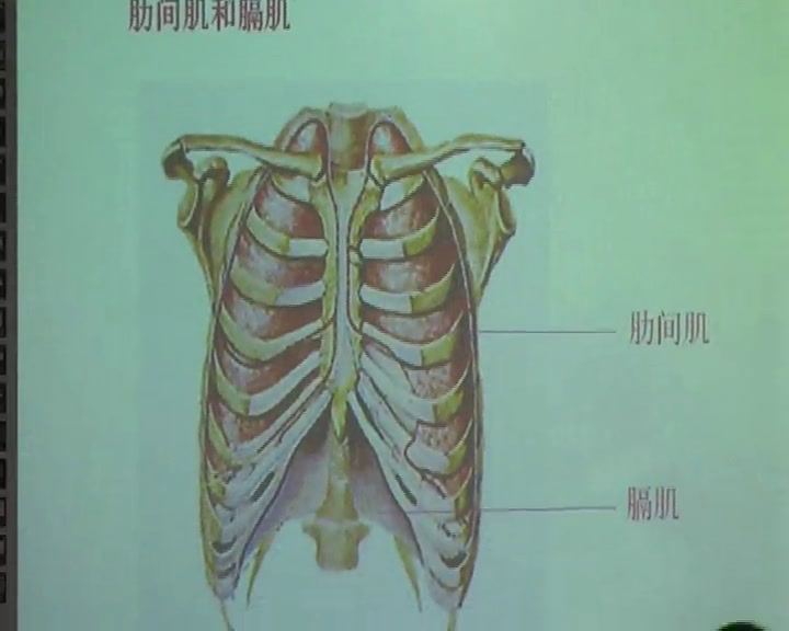 初中生物人教2011版七下《科学·技术·社会�…》山西省省一等奖