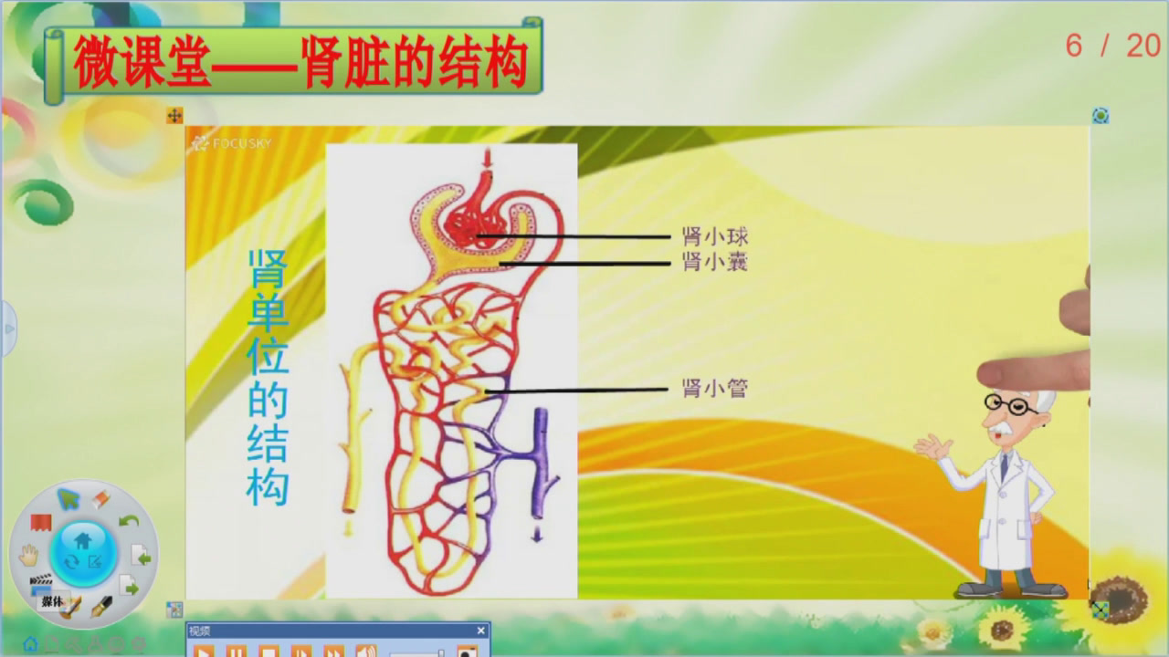 3.初中生物人教2011版七下《人体内废物的排出》全国一等奖