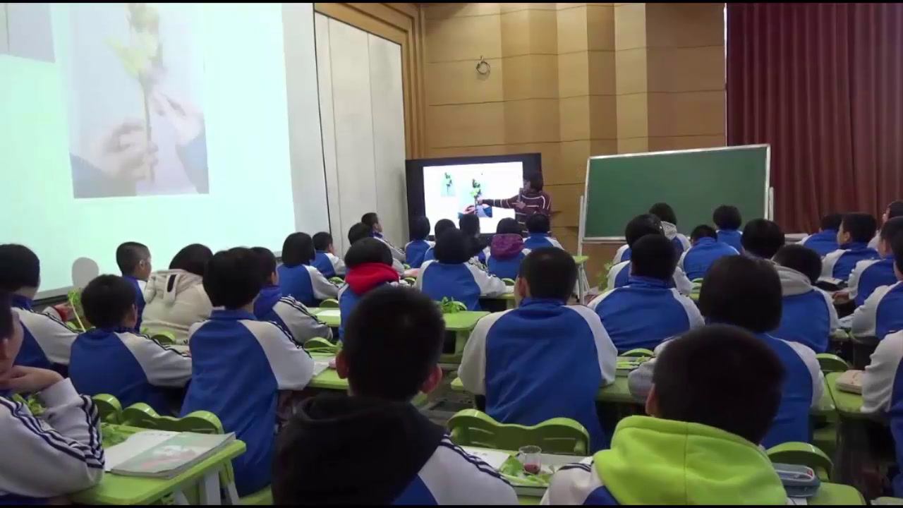 初中生物人教2011版七上《绿色植物与生物�…》福建省省一等奖