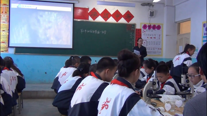 2.初中生物人教2011版七下《第二节　血流的管…》全国一等奖