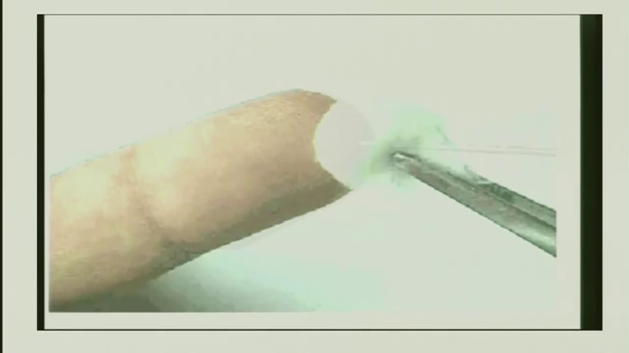 3.初中生物人教2011版七下《第一节　流动的组…》全国一等奖