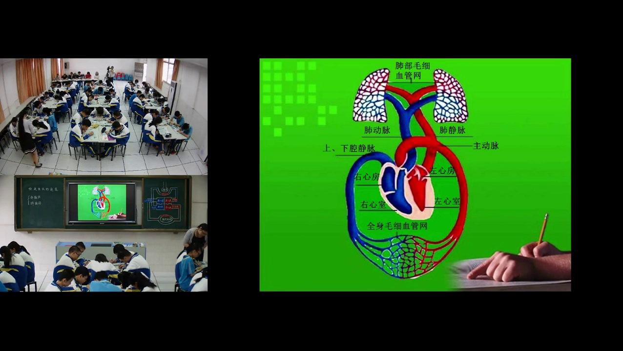2.初中生物人教2011版七下《第三节　输送血液…》广东省省一等奖