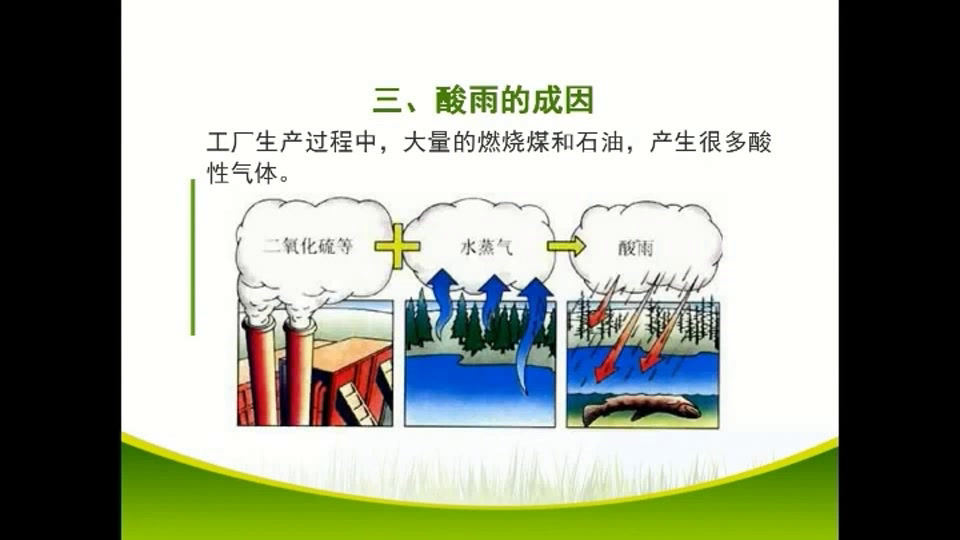 1.初中生物人教2011版七下《第二节　探究环境…》全国一等奖