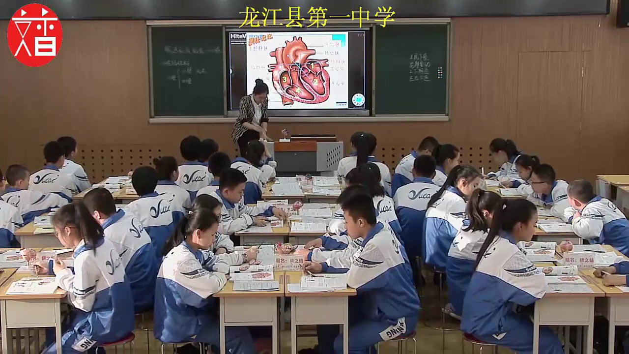 4.初中生物人教2011版七下《第三节　输送血液…》黑龙江省一等奖