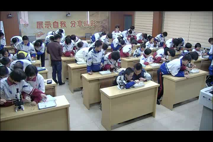 4.初中生物人教2011版七下《第二节　血流的管…》福建省省一等奖