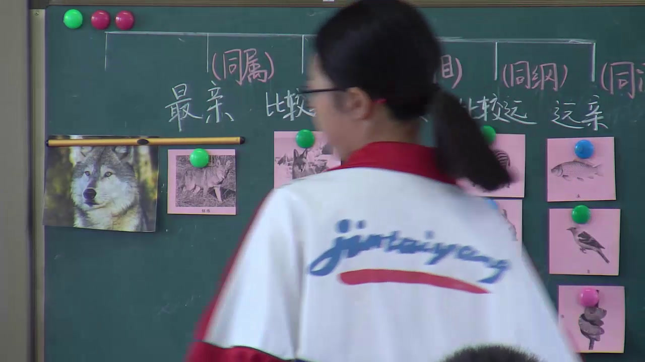 3.初中生物人教2011版八上《第二节　从种到界》湖北省省一等奖