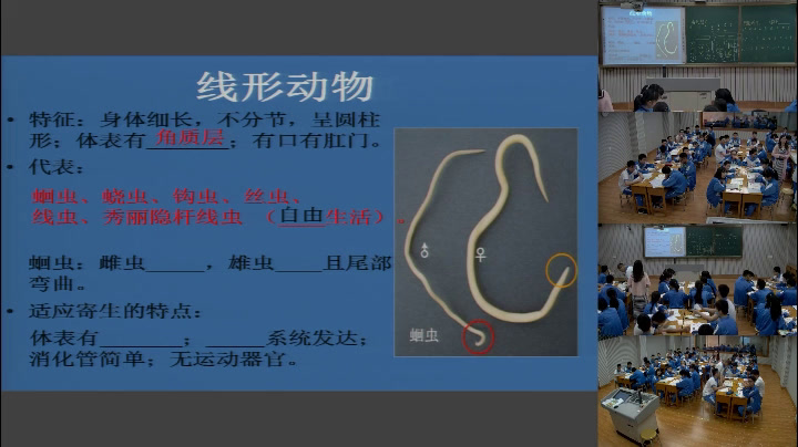 2.初中生物人教2011版八上《第三节　软体动物…》广东省市一等奖