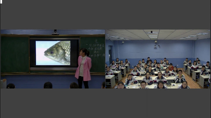 2.初中生物人教2011版八上《第四节　鱼》山西省省一等奖