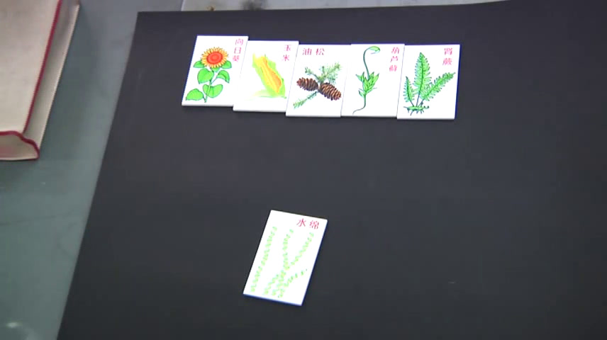 5.初中生物人教2011版八上《第一节　尝试对生…》全国一等奖
