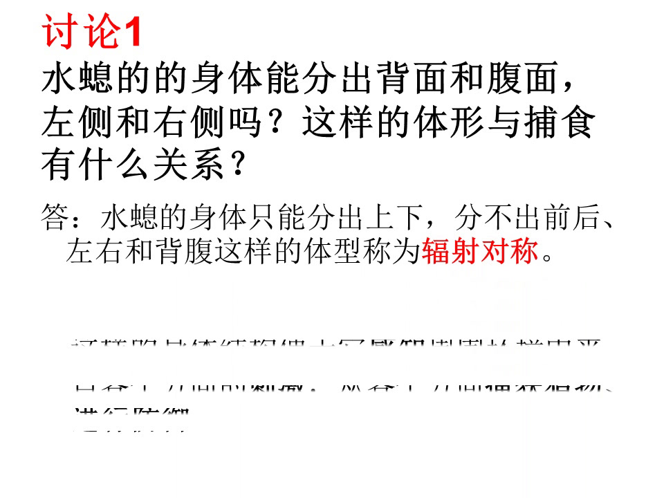 2.初中生物人教2011版八上《第一节　腔肠动物…》广东省县一等奖