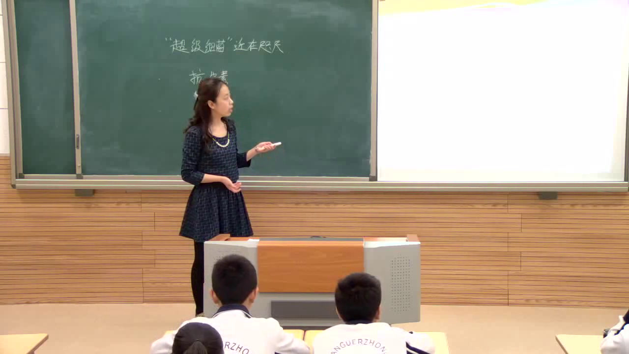 初中生物人教2011版八上《科学·技术·社会�…》全国一等奖