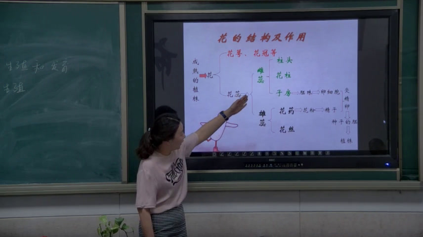 2.初中生物人教2011版八下《第一节植物的生殖》吉林省市一等奖