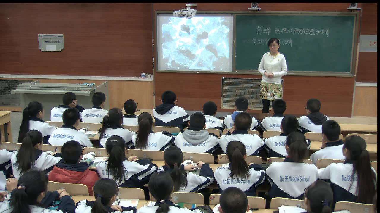 初中生物人教2011版八上《第三节两栖动物�…》新疆省省一等奖